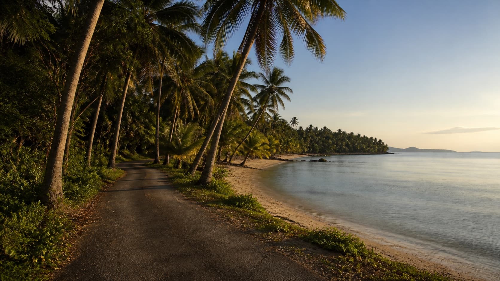Coconut palms and a quiet beach on Koh Mak